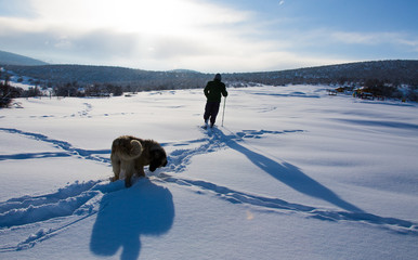 Hiker in winter in mountains