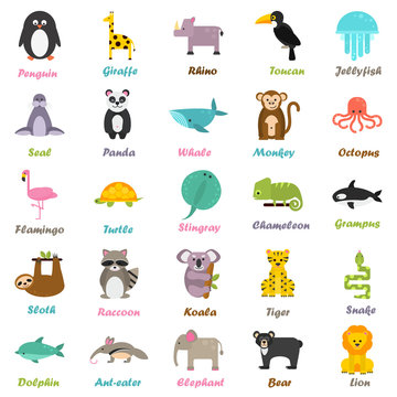 Set of funny color flat animals icons