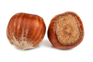 two ripe hazelnut
