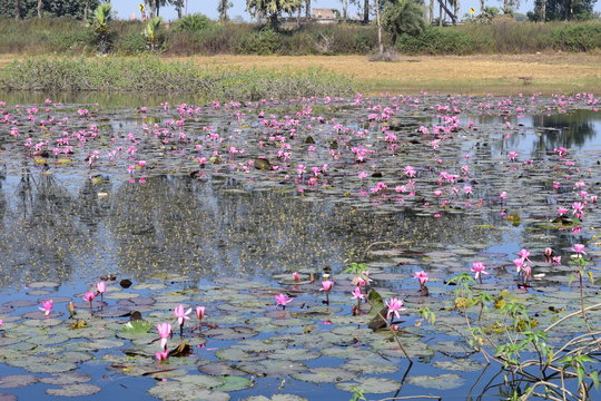 The Telaiya Dam on river Barakar Jhumri-Telaiya, Koderma, Jharkhand