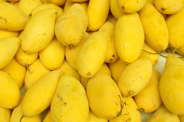 Yellow mango