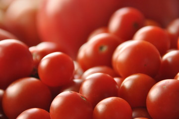 Picking tomatoes. Tomato and raspberry cocktail. Vegetables.