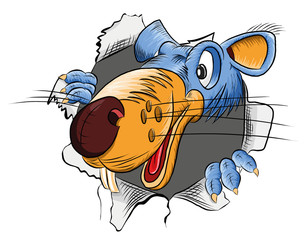 Смешная крыса выглядывает в дыру