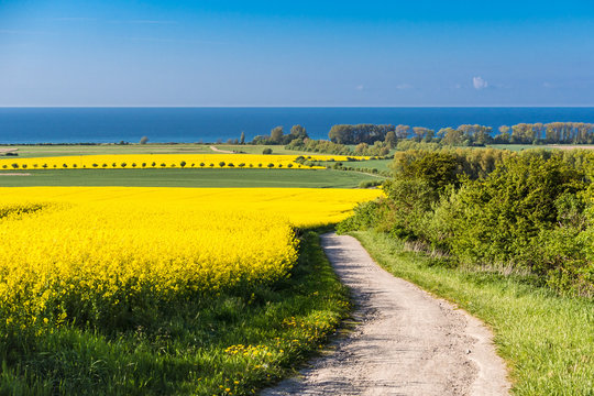 Blick auf die Ostsee in der N&auml;he von K&uuml;hlungsborn
