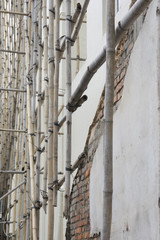 a construction scaffolding built with bamboo canes
