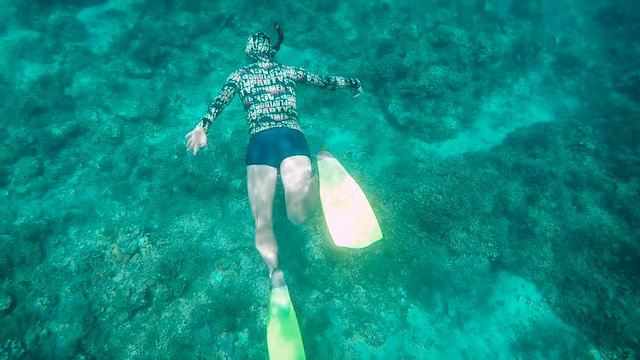 Diver swims under water on the ocean floor and then rises to the surface to breathe air. Tourist engaged diving near a exotic islands.