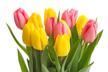 Rote und gelbe Tulpen