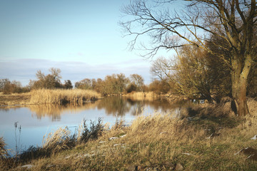 winter at Havel river in Havelland (Brandenburg Germany)