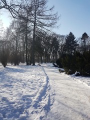 Park zimą © michalsen