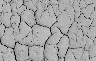 Abstract Pattern Line of Natural Cracked Ground in Countryside with Monotone Grey Color Soil...