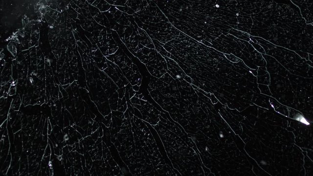 Tempered glass shattering isolated on black breaking in slow motion