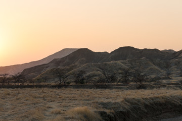 Fototapeta premium Dry forest in Peru