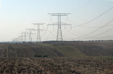 Electricity pylons