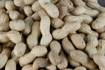 erdnuss 5