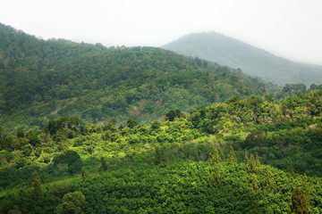 Landscape near Karon. Phuket province. Thailand