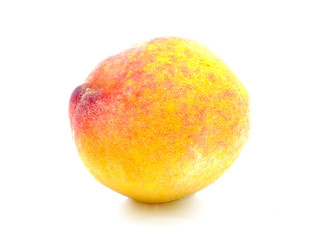 Peach on white background.