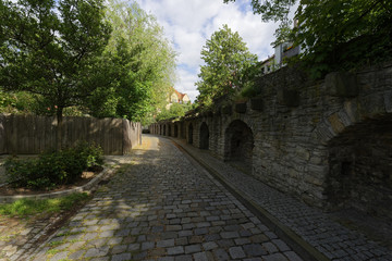 Fototapeta na wymiar Stadtmauer in Zeitz, Burgenlandkreis, Sachsen-Anhalt, Deutschland