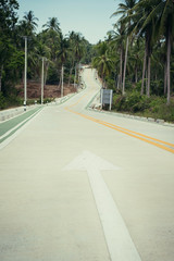 Obraz premium New constructed road in jungles.