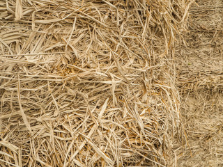 big straw background