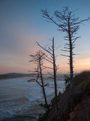 Fototapeta na wymiar Oregon Coastline