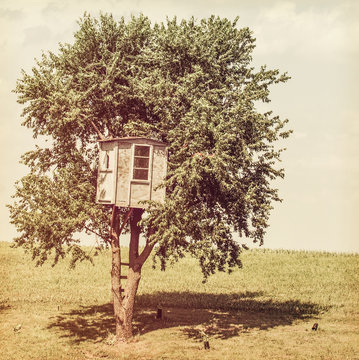 Tree house escape, toned image.