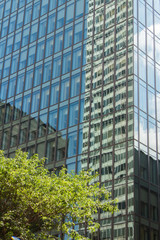 Obraz premium Close up of glass Building reflecting green park