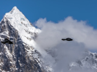 Black birds and snow flags on the top of the Ama Dablam - Everest region, Nepal, Himalayas