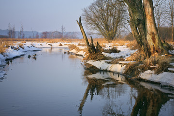 Zima nad rzeką © Mariusz Stoszewski