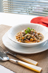 Toscana onion soup Cipollata in white soup bowl.