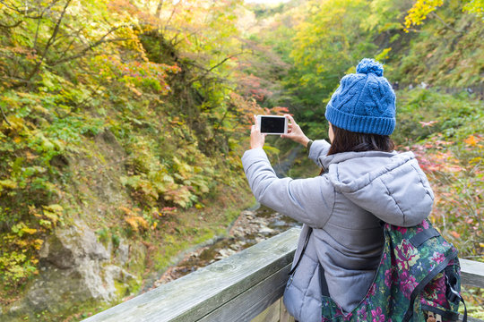 Woman taking photo by cellphone at green forest