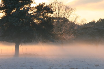 Sonnenuntergang mit Nebel