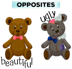 Opposite wordcard with beautiful and ugly