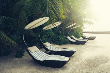 Sunbeds on sand beach at tropical island resort