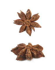 Chinese star anise seed isolated