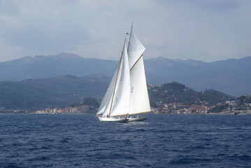 Fototapeta premium Sail boats