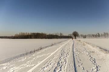 Fototapeta na wymiar winter walking