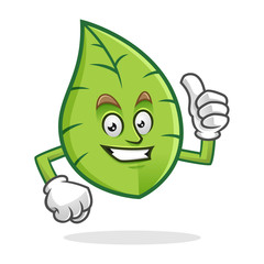 Thumb up smile leaf mascot, leaves character, vector leaf cartoon