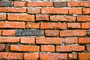 Obraz premium Tło ściana z cegieł
