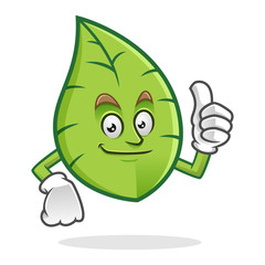 thumb up leaf mascot, leaves character, vector leaf cartoon