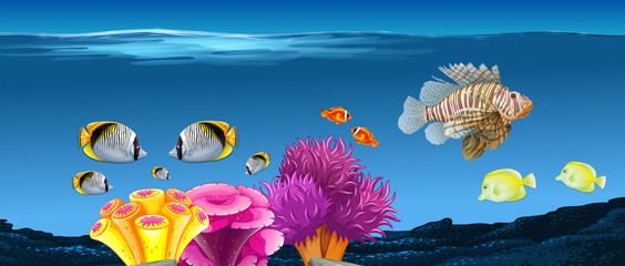 Underwater scene with fish and coral reef © blueringmedia