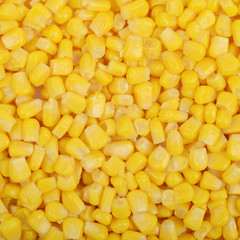 Surface coated with the canned corn