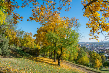 Fototapeta premium Autumn in the park with view on the Budapest