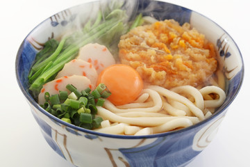 おいしそうなうどん
