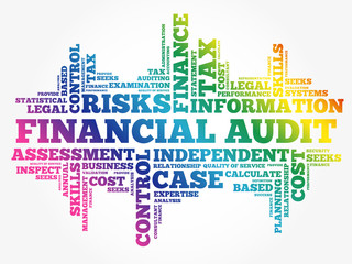 Financial Audit word cloud collage, business concept background