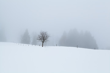 foggy morning on snowy hills in winter