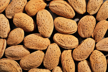 Almonds on wooden background Almond nut in shell and shelled close up