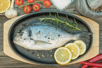 Fresh gilthead in pen