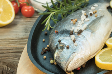 Fresh gilthead in pen