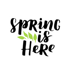 Vector seasonal greeting card of hand-written spring brush lettering. Spring collection black ink and green floral elements on white isolated background. Trendy greenery color of spring 2017.