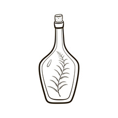 Vintage corked bottle with sprig inside hand drawing illustration on white background